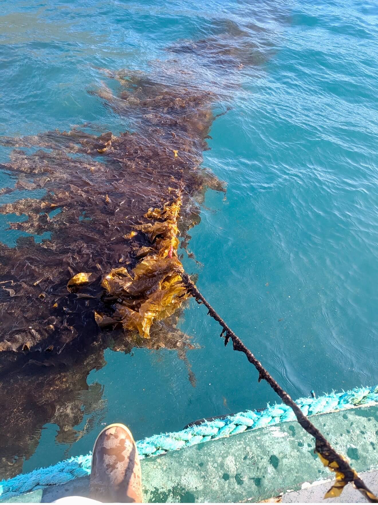 Deep Sea Mineral Soak